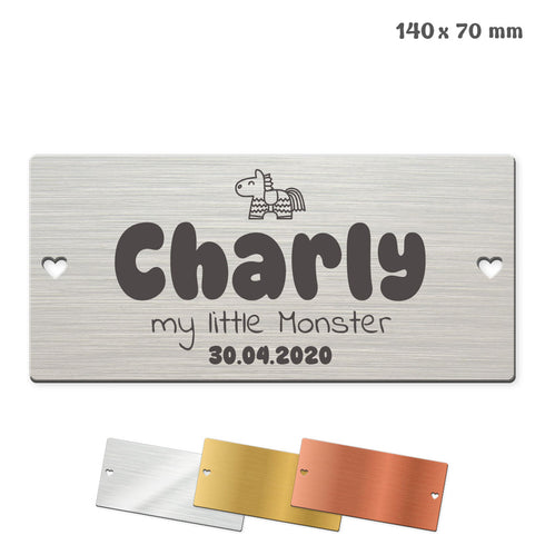 Tür- und Boxenschild "14x7" Metallic